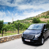Drive with luxury van through vineyards at Wachau Valley