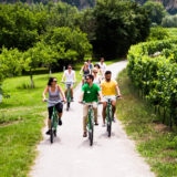 group riding through vineyards at Wachau Valley