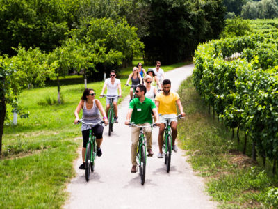 group riding through vineyards at Wachau Valley