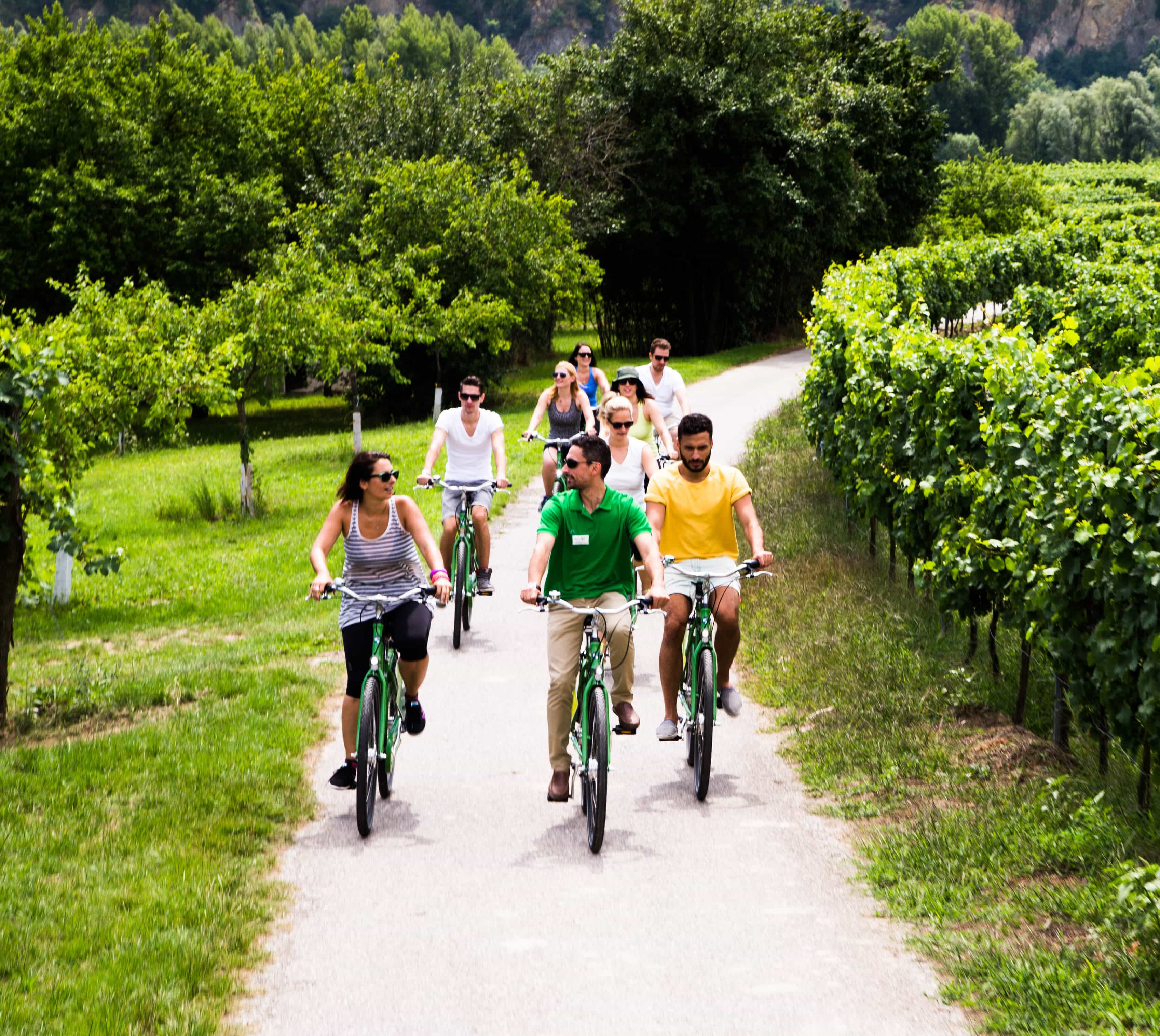 Vienna Explorer Bike Tour Vienna Explorer Bike Tour