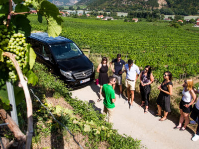 Gruppe mit Ausblick auf die Donau in der Wachau